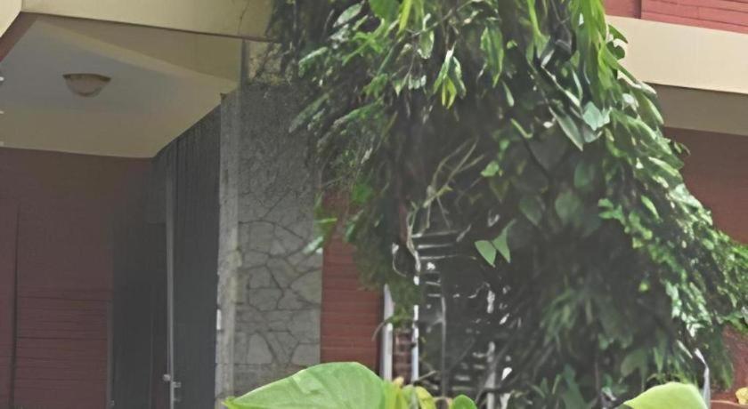 Fairmount Hotel Pokhara Eksteriør billede